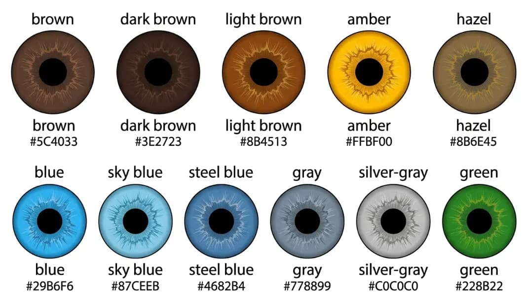 Eye Color Names: Every Human Eye Color with Hex Codes