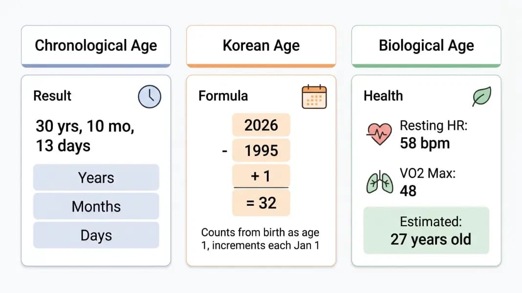 Side-by-side comparison table showing three age calculation methods: chronological age with year, month, and day columns showing 30 years 10 months 13 days, Korean age showing the formula current year minus birth year plus 1 with result 32, and biological age section showing fitness markers including resting heart rate VO2 max and cellular health with an estimated physiological age of 27 Side-by-side comparison table showing three age calculation methods: chronological age with year, month, and day columns showing 30 years 10 months 13 days, Korean age showing the formula current year minus birth year plus 1 with result 32, and biological age section showing fitness markers including resting heart rate VO2 max and cellular health with an estimated physiological age of 27
